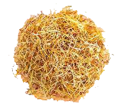 Style Saffron (Konj in Persian)