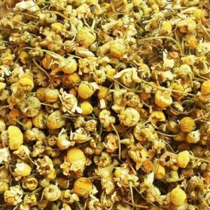 Chamomile Iran Chamomile