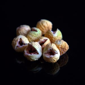 Iran Dries Fig