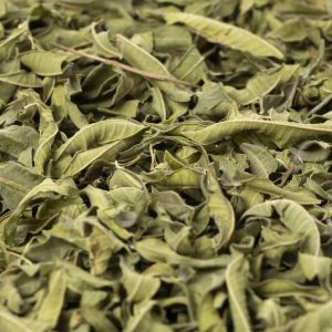 Lemon Verbena Iran Lemon Verbena