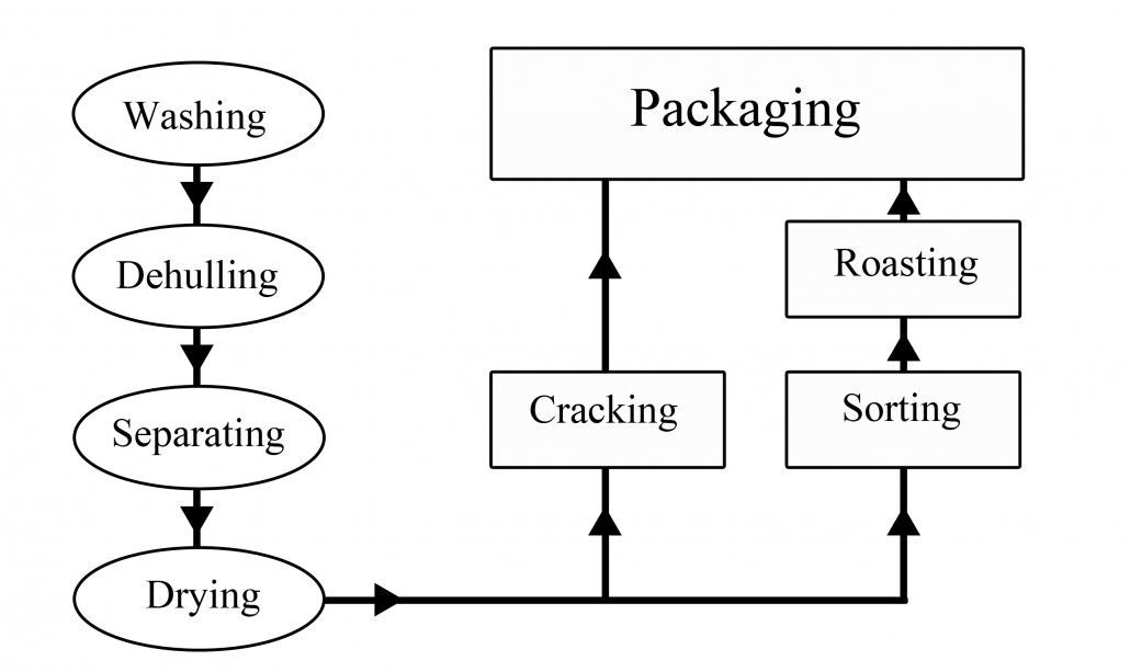Iran Pistachio Process