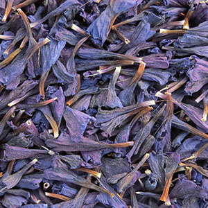 Iranian Borage Iran Borage